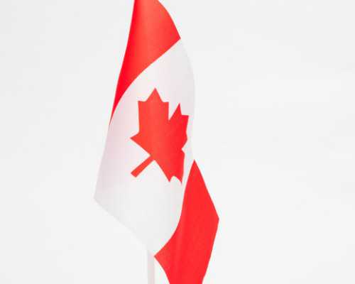 萨省技术移民名额（加拿大移民新政周报：加拿大移民部内部论坛文件解密，萨
